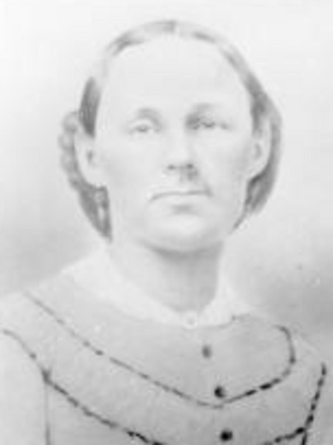 Mindwell Houston (1838 - 1874) Profile